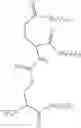 Fig. 08 - MicroRNA Compounds and Methods for Modulating MIR-21 Activity