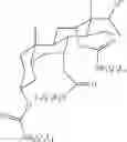 Fig. 11 - MicroRNA Compounds and Methods for Modulating MIR-21 Activity