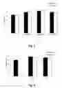 Fig. 05 - Peptide, Complex of Peptide and siRNA, and Methods of Use Thereof