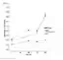 Fig. 14 - METHODS FOR DETERMINING RESISTANCE TO ANTICANCER THERAPY AND COMPOSITION USED THEREFOR
