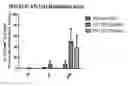Fig. 01 - Mobilizing leukemia cells
