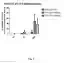 Fig. 02 - Mobilizing leukemia cells