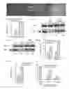 Fig. 02 - Modulation of pre-MRNA using splice modulating oligonucleotides as therapeutic agents in the treatment of disease