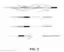Fig. 03 - Modulation of pre-MRNA using splice modulating oligonucleotides as therapeutic agents in the treatment of disease