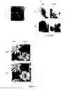 Fig. 02 - Method for Increasing Plant Stress Tolerance and Seed Dormancy