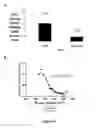 Fig. 33 - Method for Increasing Plant Stress Tolerance and Seed Dormancy