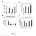 Fig. 02 - DREB REPRESSOR MODIFICATIONS AND METHODS TO INCREASE AGRONOMIC PERFORMANCE OF PLANTS