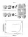 Fig. 03 - High throughput assay for measuring adenovirus replication kinetics