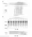 Fig. 09 - CRISPR-Cas Nickase Systems, Methods And Compositions For Sequence Manipulation in Eukaryotes