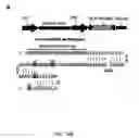 Fig. 28 - CRISPR-Cas Nickase Systems, Methods And Compositions For Sequence Manipulation in Eukaryotes