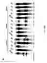Fig. 29 - CRISPR-Cas Nickase Systems, Methods And Compositions For Sequence Manipulation in Eukaryotes