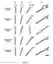 Fig. 33 - CRISPR-Cas Nickase Systems, Methods And Compositions For Sequence Manipulation in Eukaryotes