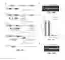 Fig. 46 - CRISPR-Cas Nickase Systems, Methods And Compositions For Sequence Manipulation in Eukaryotes