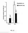 Fig. 49 - CRISPR-Cas Nickase Systems, Methods And Compositions For Sequence Manipulation in Eukaryotes