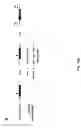 Fig. 76 - CRISPR-Cas Nickase Systems, Methods And Compositions For Sequence Manipulation in Eukaryotes