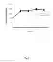 Fig. 08 - Engineered phagemids