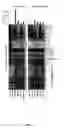 Fig. 04 - Ammonium based ionic liquids useful for lignocellulosic processing