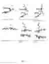 Fig. 06 - Ammonium based ionic liquids useful for lignocellulosic processing