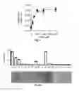 Fig. 07 - Fluorometric and colorimetric quantification techniques with autonomously and reversibly stalling catalytic signal amplification