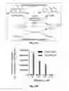 Fig. 18 - Fluorometric and colorimetric quantification techniques with autonomously and reversibly stalling catalytic signal amplification