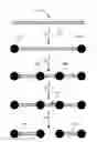 Fig. 01 - SELECTIVE PROTECTION OF NUCLEIC ACIDS