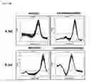 Fig. 22 - Peptide nucleic acid probe for multiplex detection of BCR/ABL negative myeloproliferative neoplasm-associated gene mutations