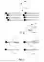 Fig. 04 - RARE NUCLEIC ACID DETECTION