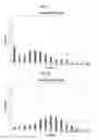 Fig. 05 - CHROMOSOME NUMBER DETERMINATION METHOD