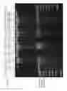 Fig. 04 - Isolation of target nucleic acids