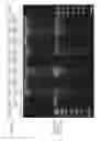 Fig. 05 - Isolation of target nucleic acids