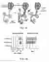 Fig. 02 - Transposition of native chromatin for personal epigenomics