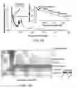 Fig. 04 - Transposition of native chromatin for personal epigenomics