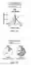 Fig. 06 - Transposition of native chromatin for personal epigenomics