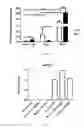 Fig. 07 - Method for diagnosing cardiomyopathies
