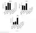 Fig. 09 - Method for diagnosing cardiomyopathies