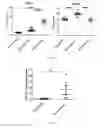 Fig. 16 - Method for diagnosing cardiomyopathies
