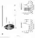 Fig. 28 - Method for diagnosing cardiomyopathies