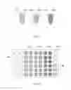 Fig. 02 - Sample processing apparatus and method