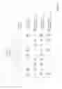 Fig. 10 - Determining antigen-specific T-cells