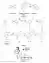 Fig. 02 - VISUAL DETECTION OF PLATINATED DNA LESIONS FROM A CLICKABLE CISPLATIN PROBE USED AS DIAGNOSTIC TOOL OR TO IDENTIFY SYNERGISTIC TREATMENTS