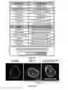 Fig. 05 - VISUAL DETECTION OF PLATINATED DNA LESIONS FROM A CLICKABLE CISPLATIN PROBE USED AS DIAGNOSTIC TOOL OR TO IDENTIFY SYNERGISTIC TREATMENTS