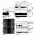 Fig. 07 - VISUAL DETECTION OF PLATINATED DNA LESIONS FROM A CLICKABLE CISPLATIN PROBE USED AS DIAGNOSTIC TOOL OR TO IDENTIFY SYNERGISTIC TREATMENTS