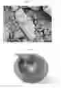 Fig. 03 - FILM MATERIAL AND COLD SPRAY METHOD