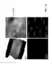 Fig. 11 - MANUFACTURING METHOD OF ULTRA-LARGE COPPER GRAINS WITHOUT HEAT TREATMENT