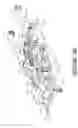 Fig. 04 - Cam operated grinding machine