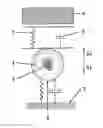 Fig. 01 - Arrangement for providing a pulsing compressive force