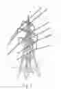 Fig. 02 - Lattice mast structure and method for increasing the stability of a lattice mast structure