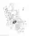 Fig. 02 - VEHICLE HOOD HINGE