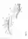 Fig. 11 - Spline for a turbine engine