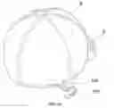 Fig. 03 - APPARATUS FOR FASTENING WIRE